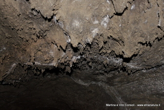 otta di Serracozzo-05-08-2014 12-11-55